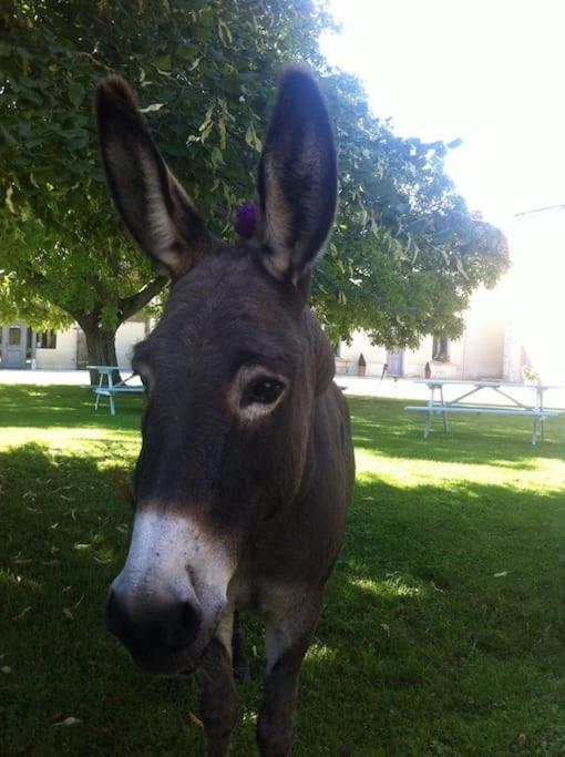 Le Domaine De Toussacq Panzió Villenauxe-la-Petite Kültér fotó