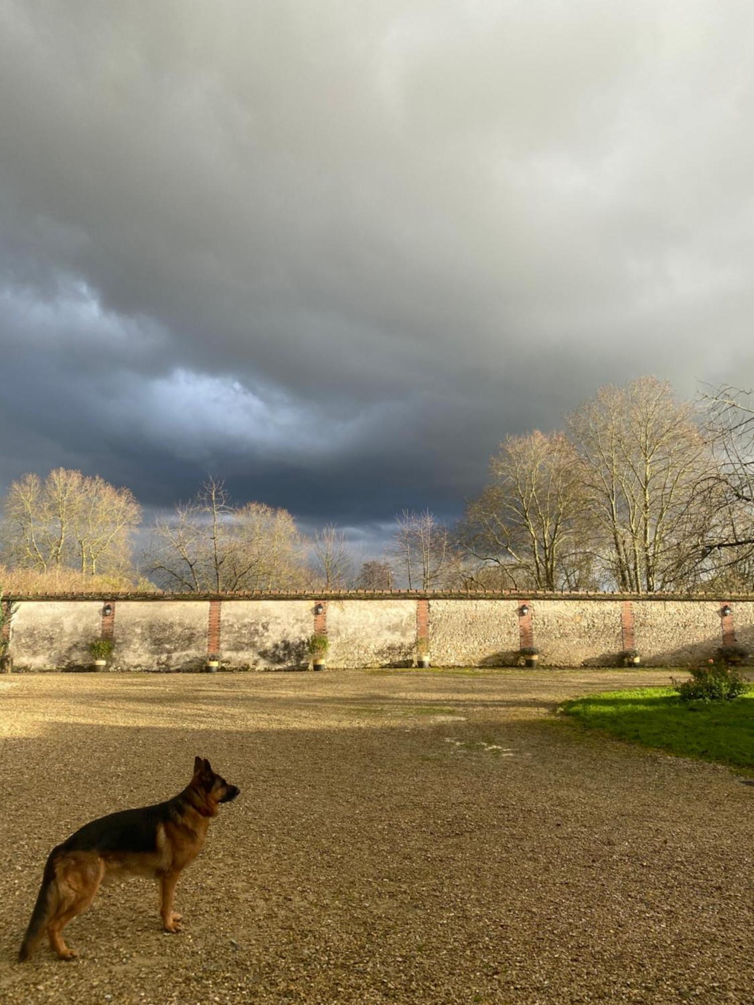 Le Domaine De Toussacq Panzió Villenauxe-la-Petite Kültér fotó